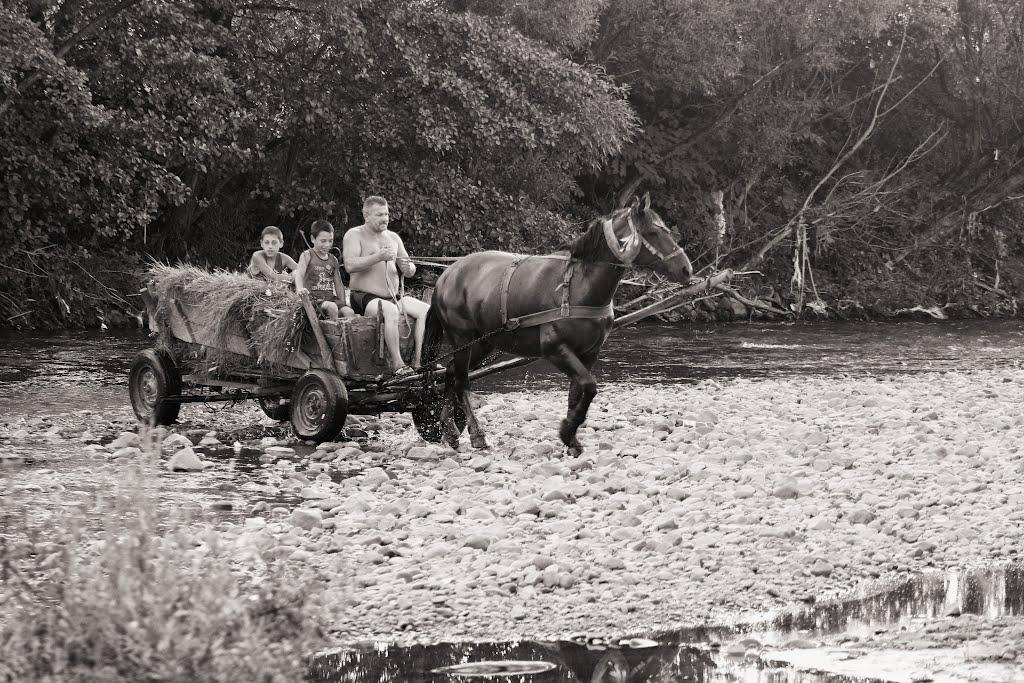 Тур'я Пасіка з panoramio.com - Тур'я Пасіка