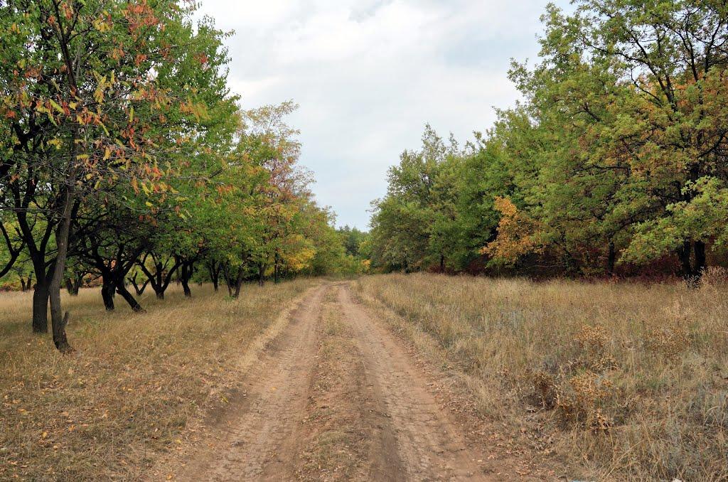 Ленінське з panoramio.com - Leninske