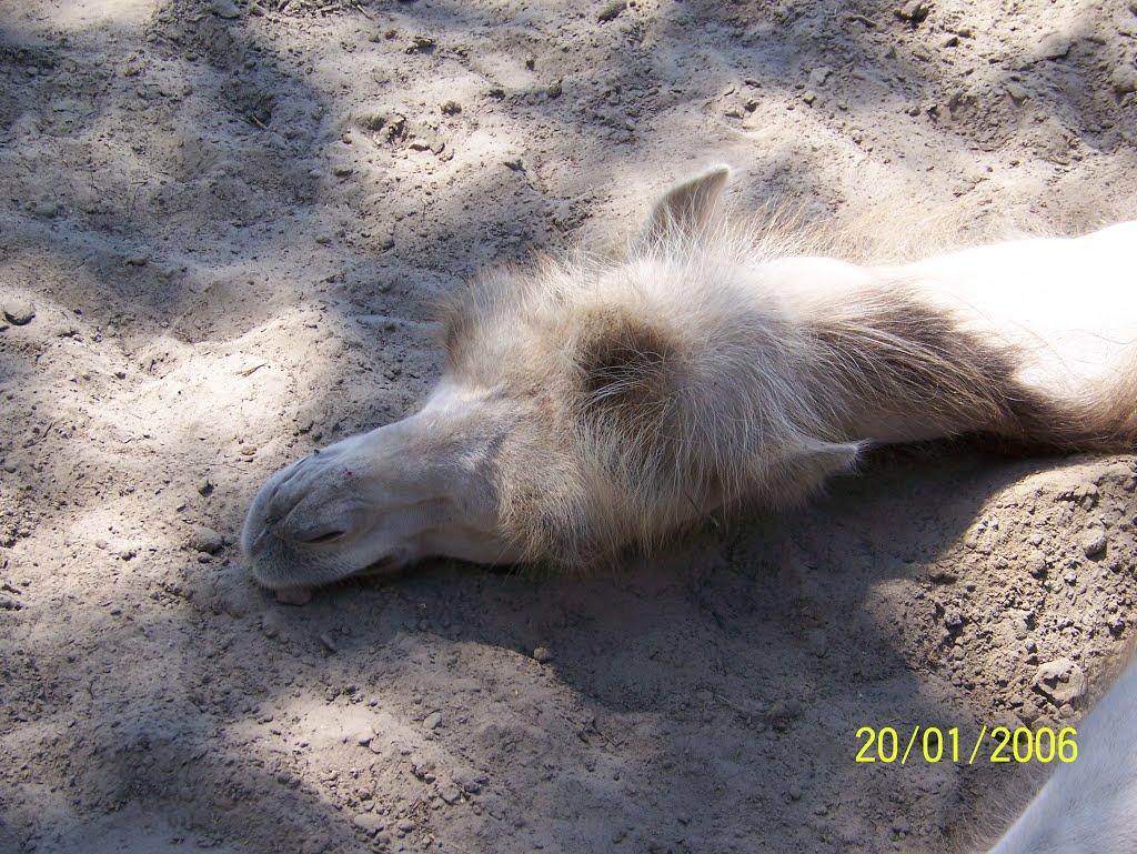 Озера з panoramio.com - Озера