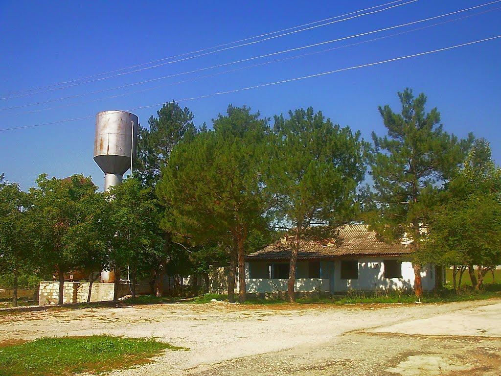 Плотинне з panoramio.com - Плотинное