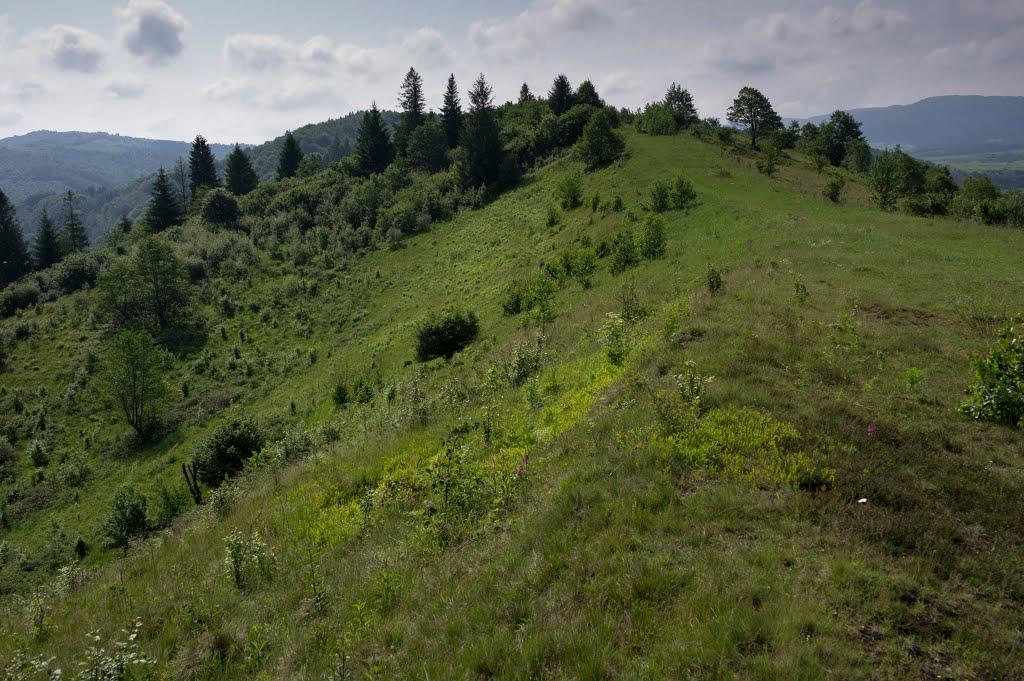 Побук з panoramio.com - Побук