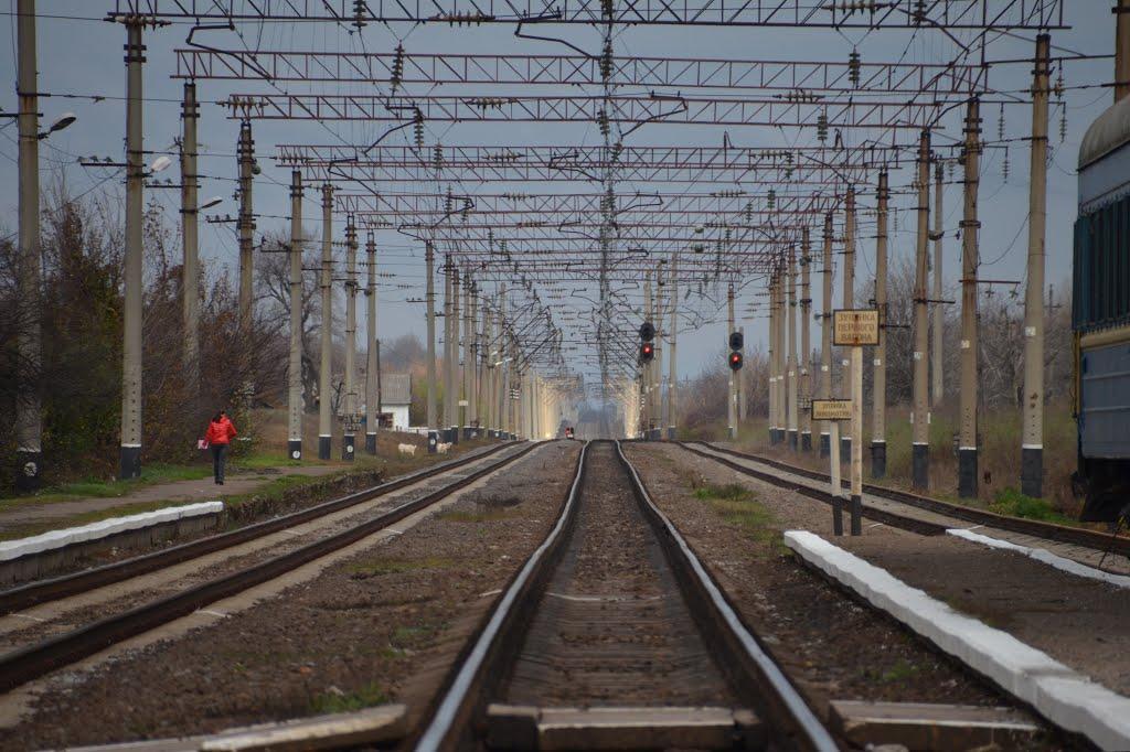 Мардарівка з panoramio.com - Мардарівка