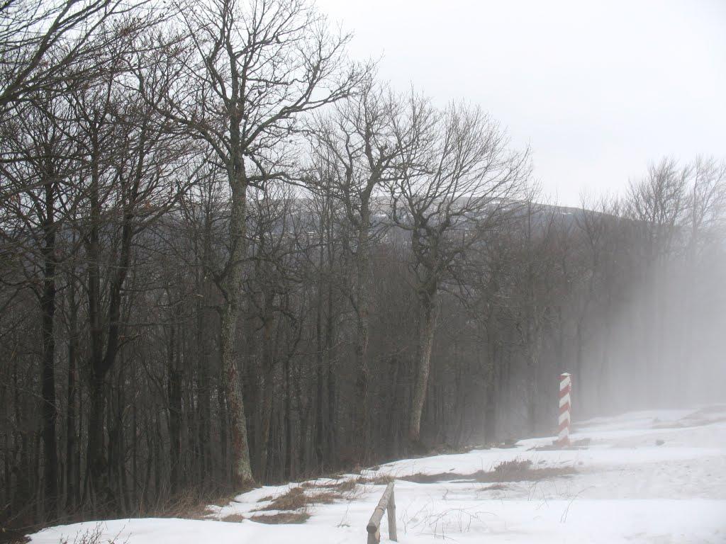 Стужиця з panoramio.com (ч.2) - Стужиця