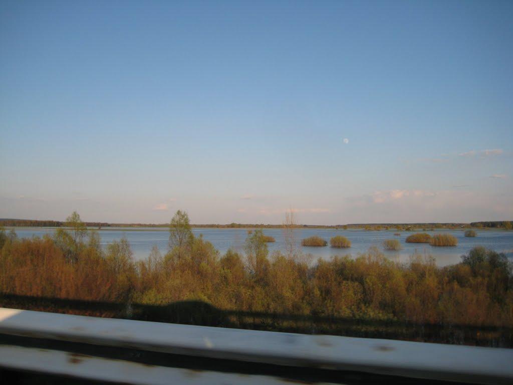 Новомутин з panoramio.com - Новомутин