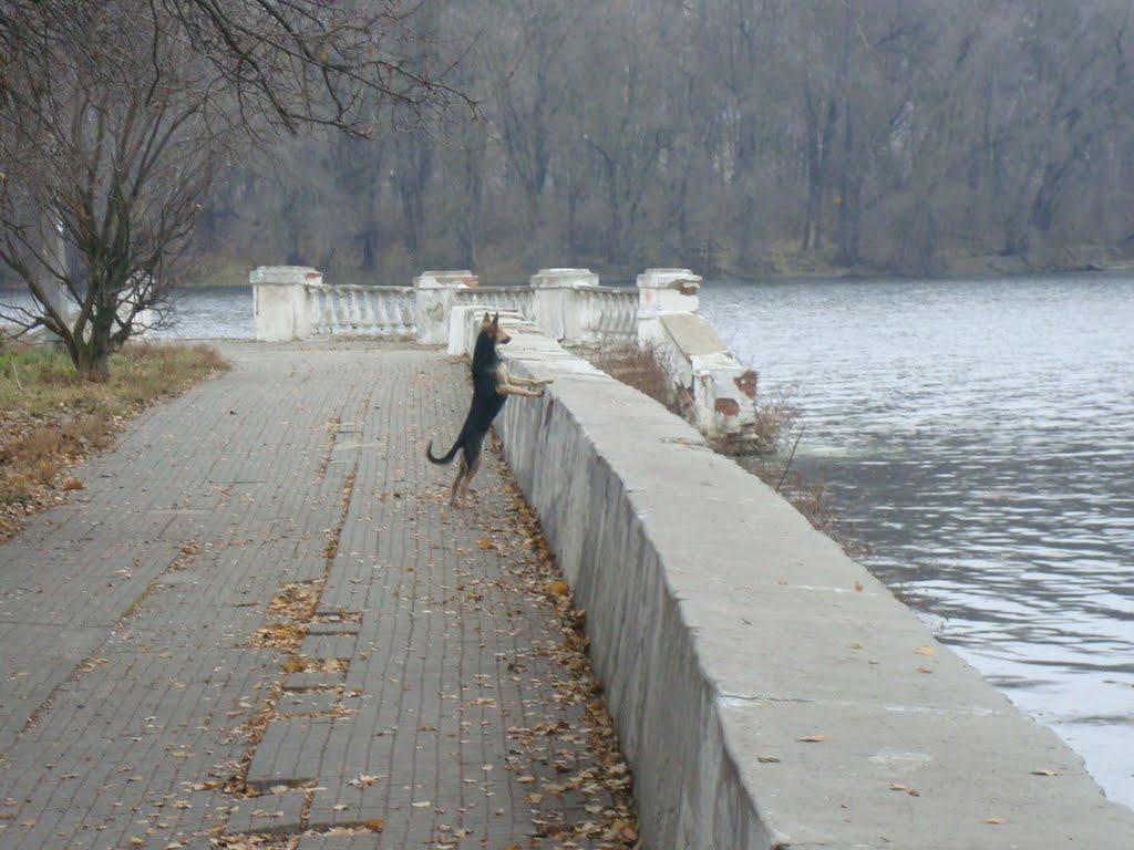 Хмельницький з panoramio.com (ч.13) - Хмельницький