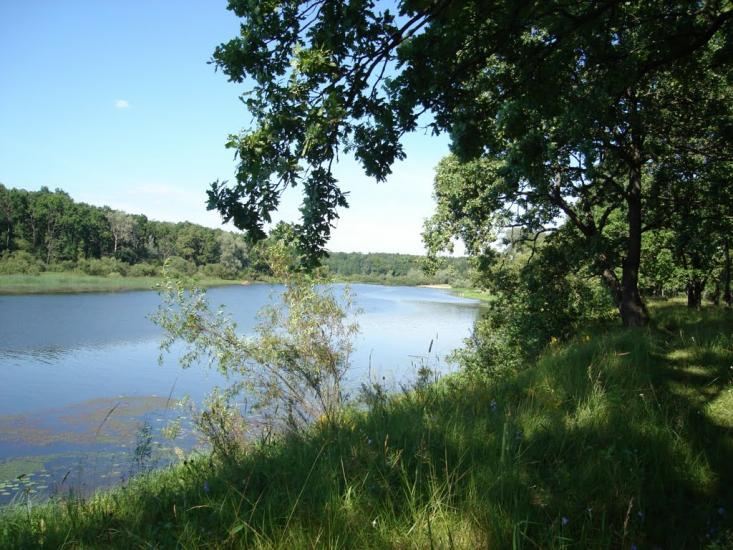 Скиток з panoramio.com - Скиток