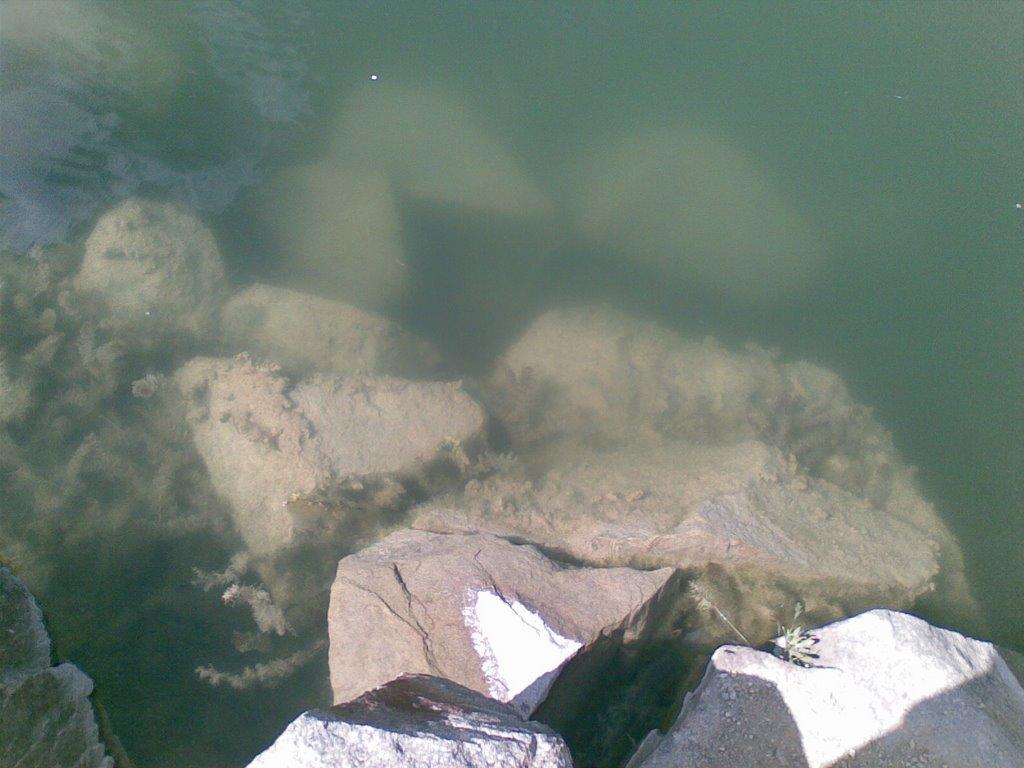 Старі Кодаки з panoramio.com (ч.2) - Старые Кодаки