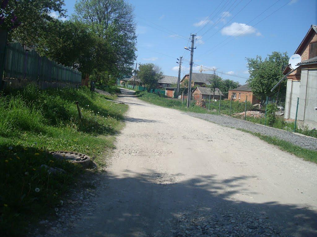 Хмельницький з panoramio.com (ч.13) - Хмельницкий