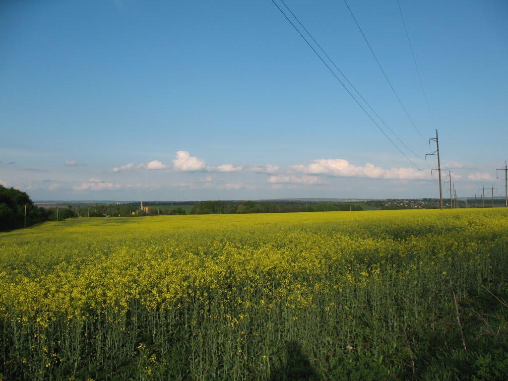 Хмельницький з panoramio.com (ч.13) - Хмельницкий