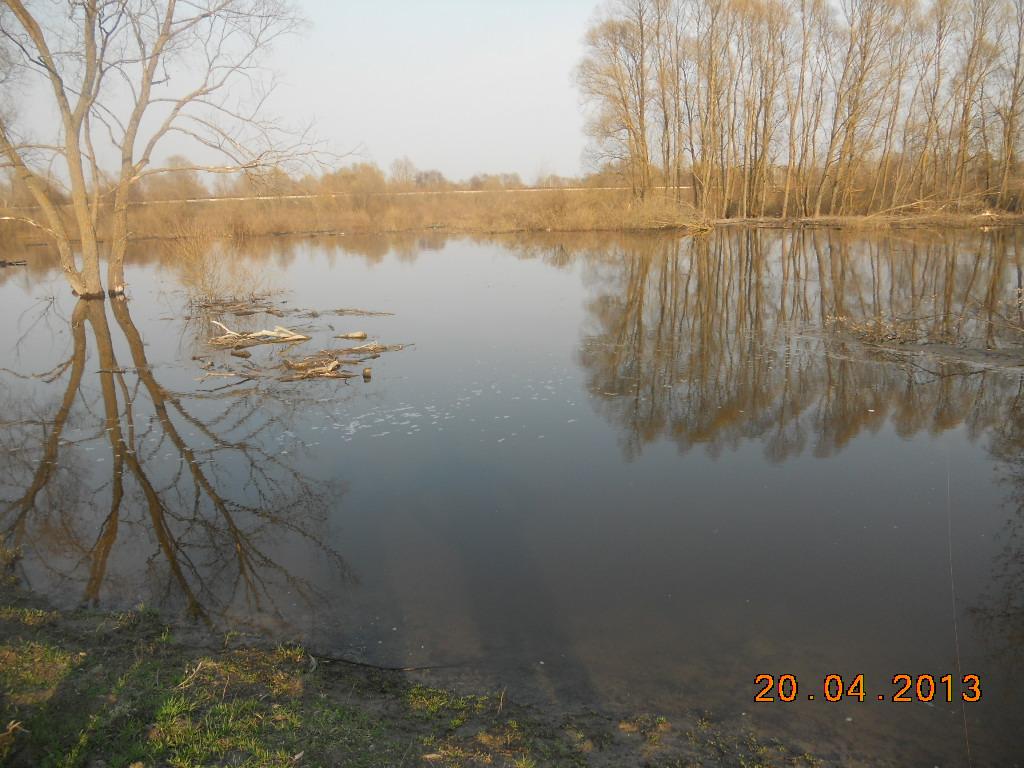 Новомутин з panoramio.com - Новомутин