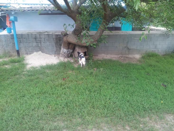 Бахтинок з panoramio.com - Бахтинок