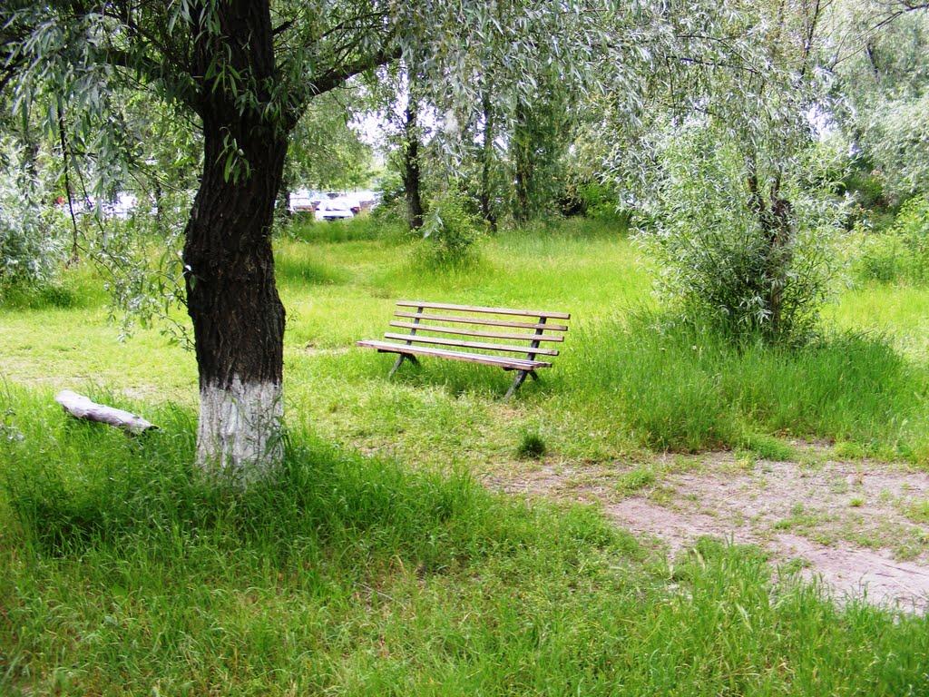 Антонівка з panoramio.com - Антоновка