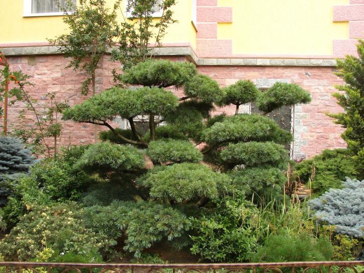 Виноградне з panoramio.com - Виноградное