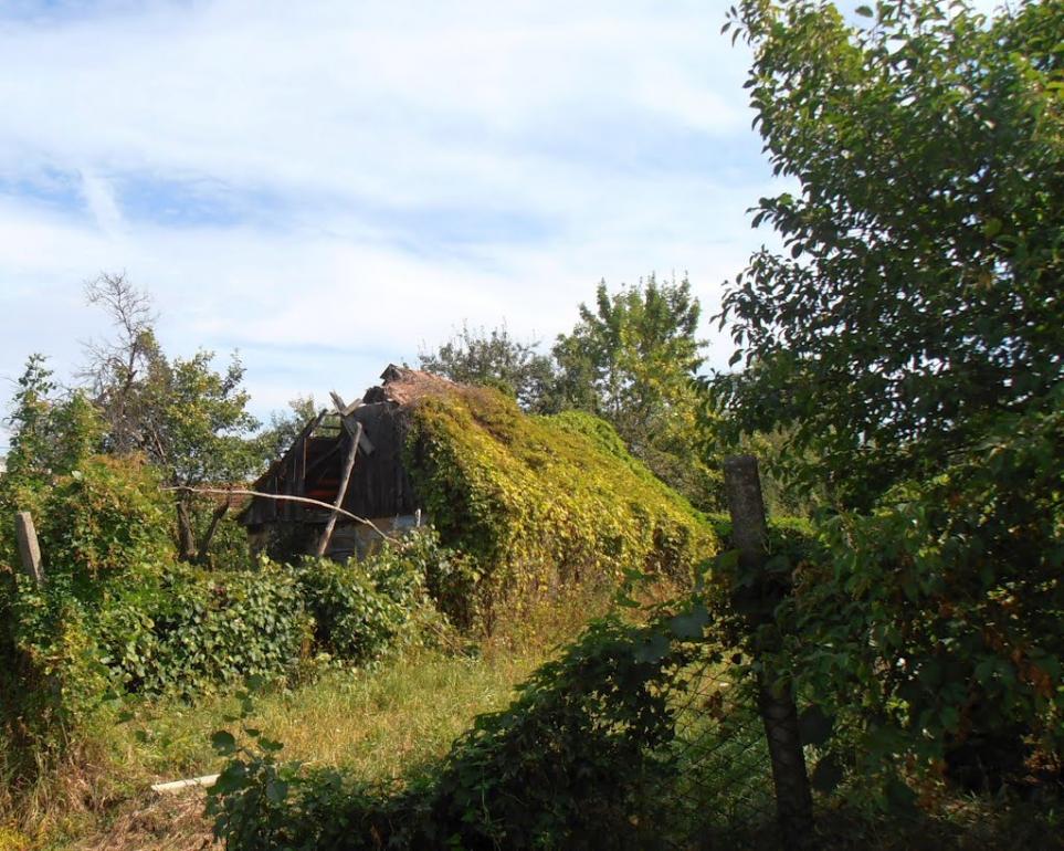 Бобовище з panoramio.com - Бобовище