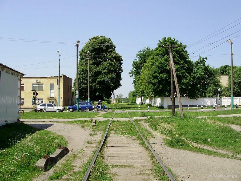 Льотниче з panoramio.com - Lotnyche