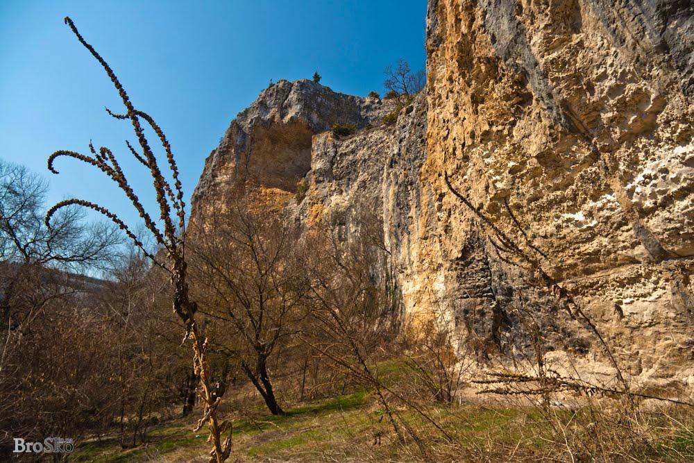 Передущельне з panoramio.com - Передущельне