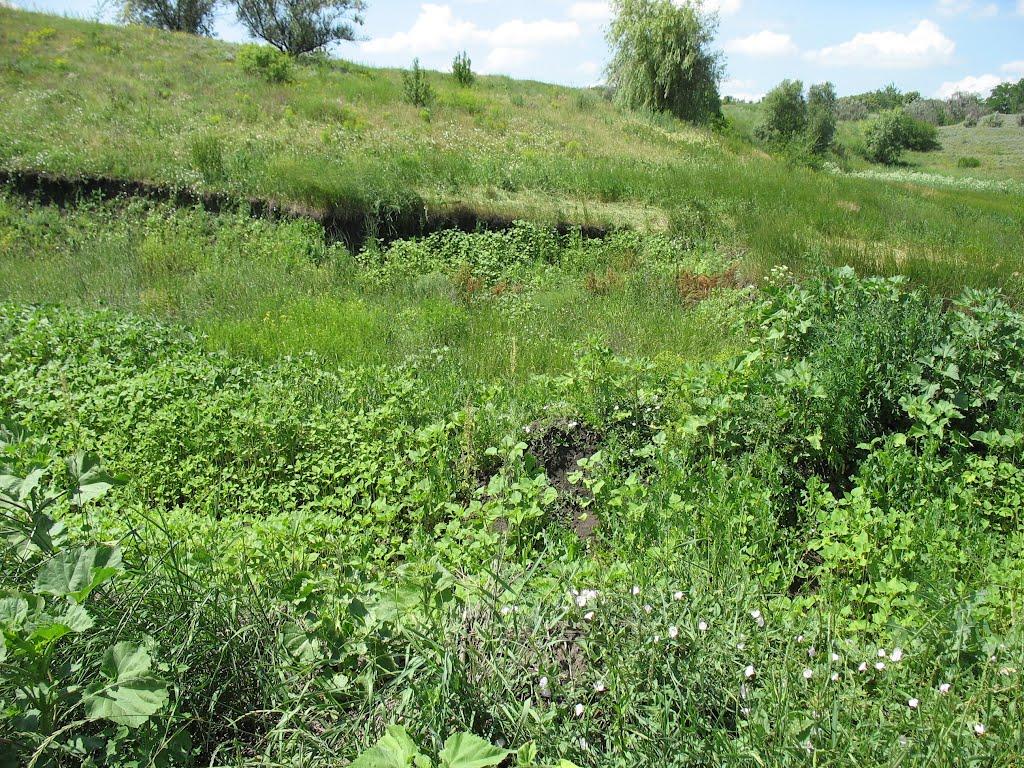 Земляне з panoramio.com - Земляне