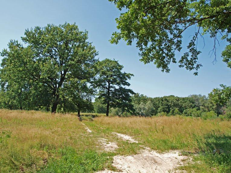 Буланове з panoramio.com - Буланове