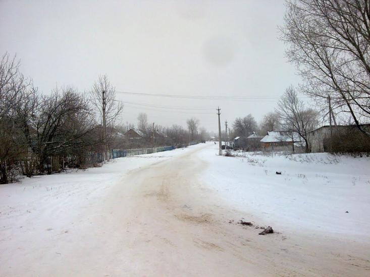 Брицьке з panoramio.com - Брицьке