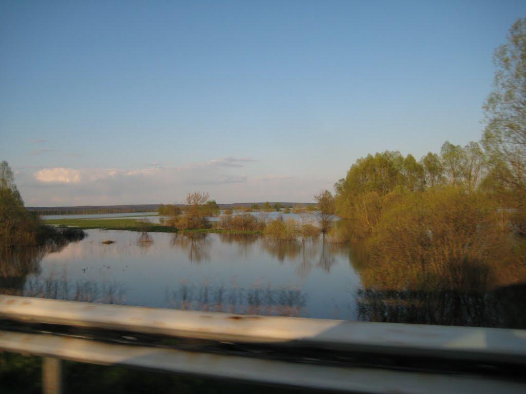 Новомутин з panoramio.com - Новомутин