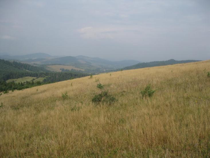 Велика Волосянка з panoramio.com - Велика Волосянка