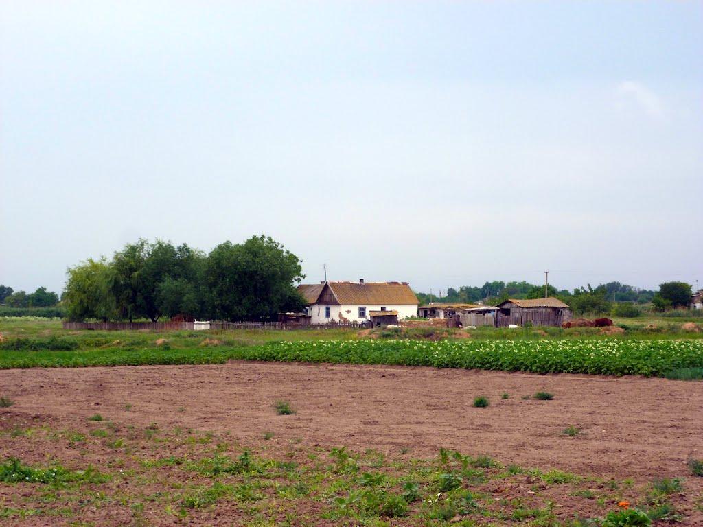 Першокостянтинівка з panoramio.com - Першокостянтинівка