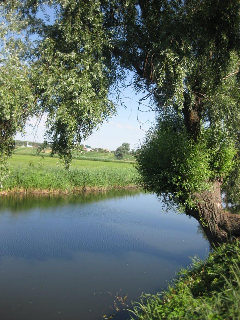 Білогородка з panoramio.com - Білогородка