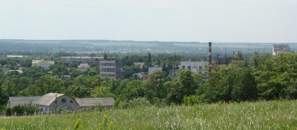 Косарі з panoramio.com (ч.2) - Косарі