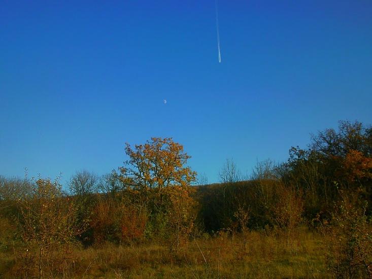 Верхоріччя з panoramio.com - Верхоріччя