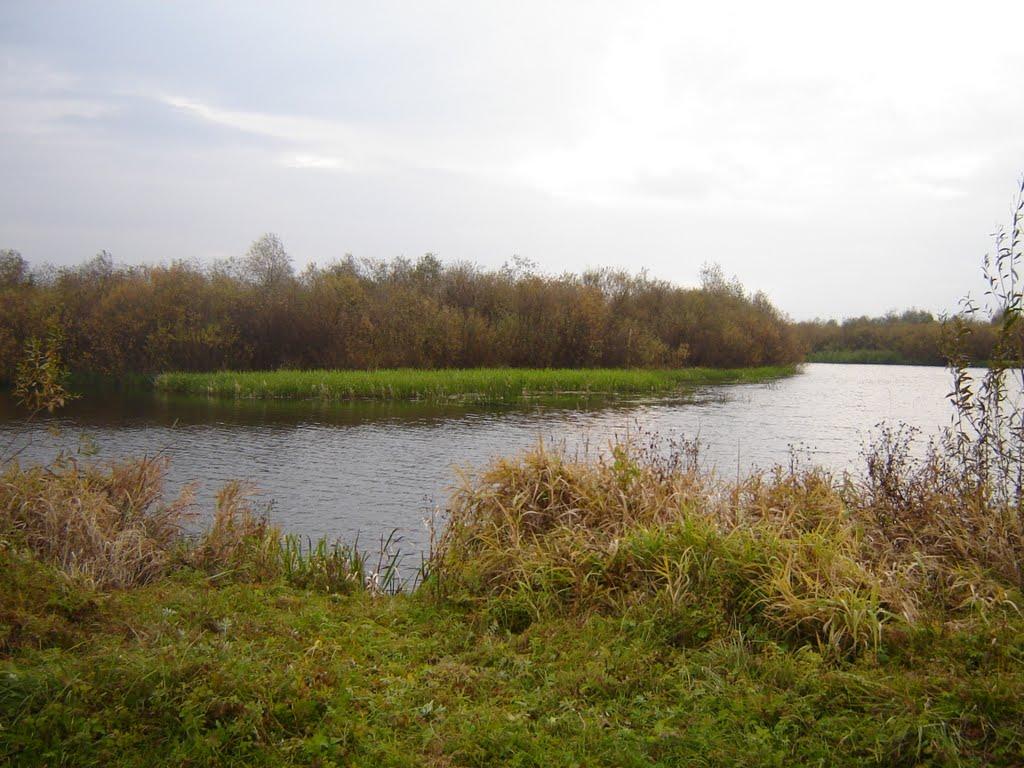 Вовчиці з panoramio.com - Вовчиці