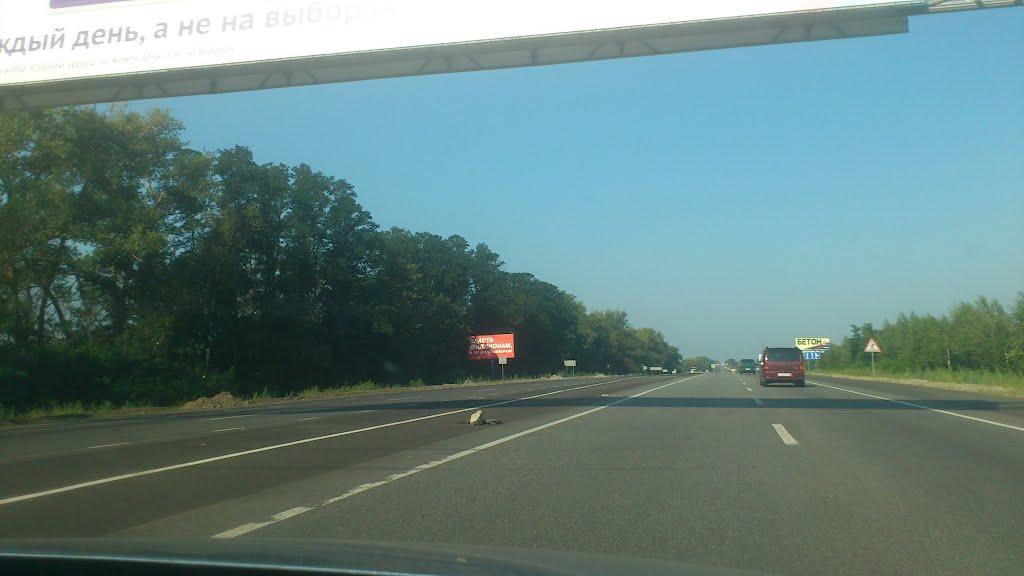 Коцюбинське з panoramio.com (ч.3) - Коцюбинське