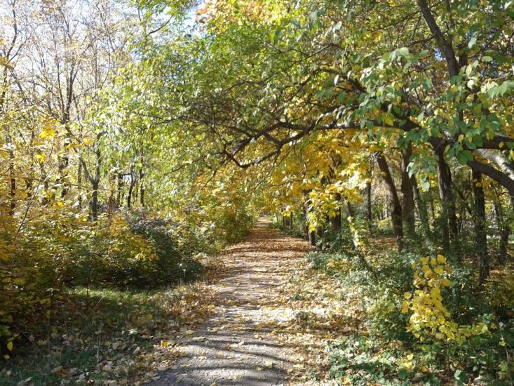 Докучаєвськ з panoramio.com - Докучаєвськ