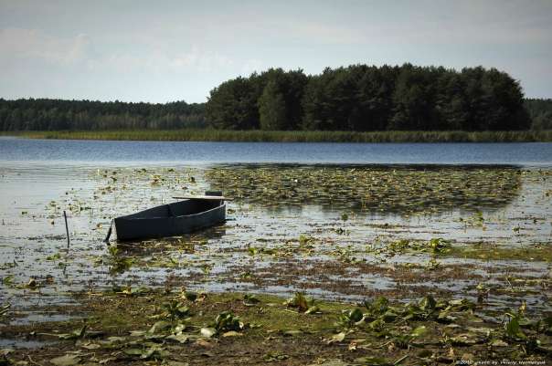 Нобель-перлина рівненського Полісся - Нобель