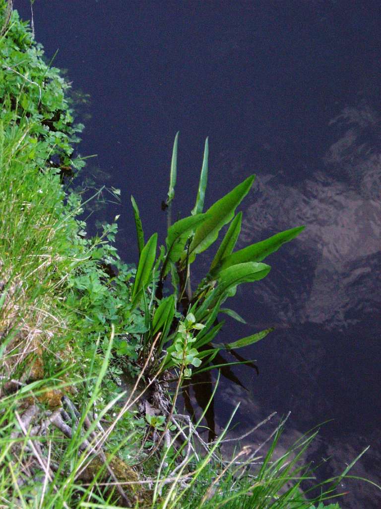 природа села сари - Сары