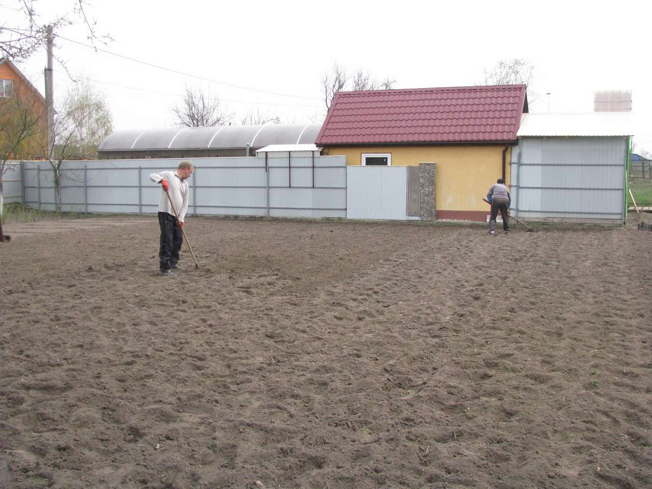 ЯК У РОЖНАХ КАРТОПЛЮ САДЯТЬ - Рожны