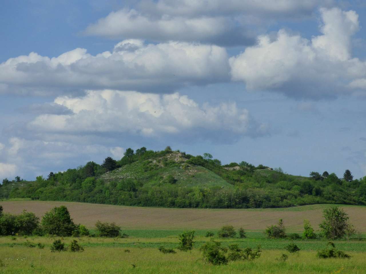 Медобори - Вікно