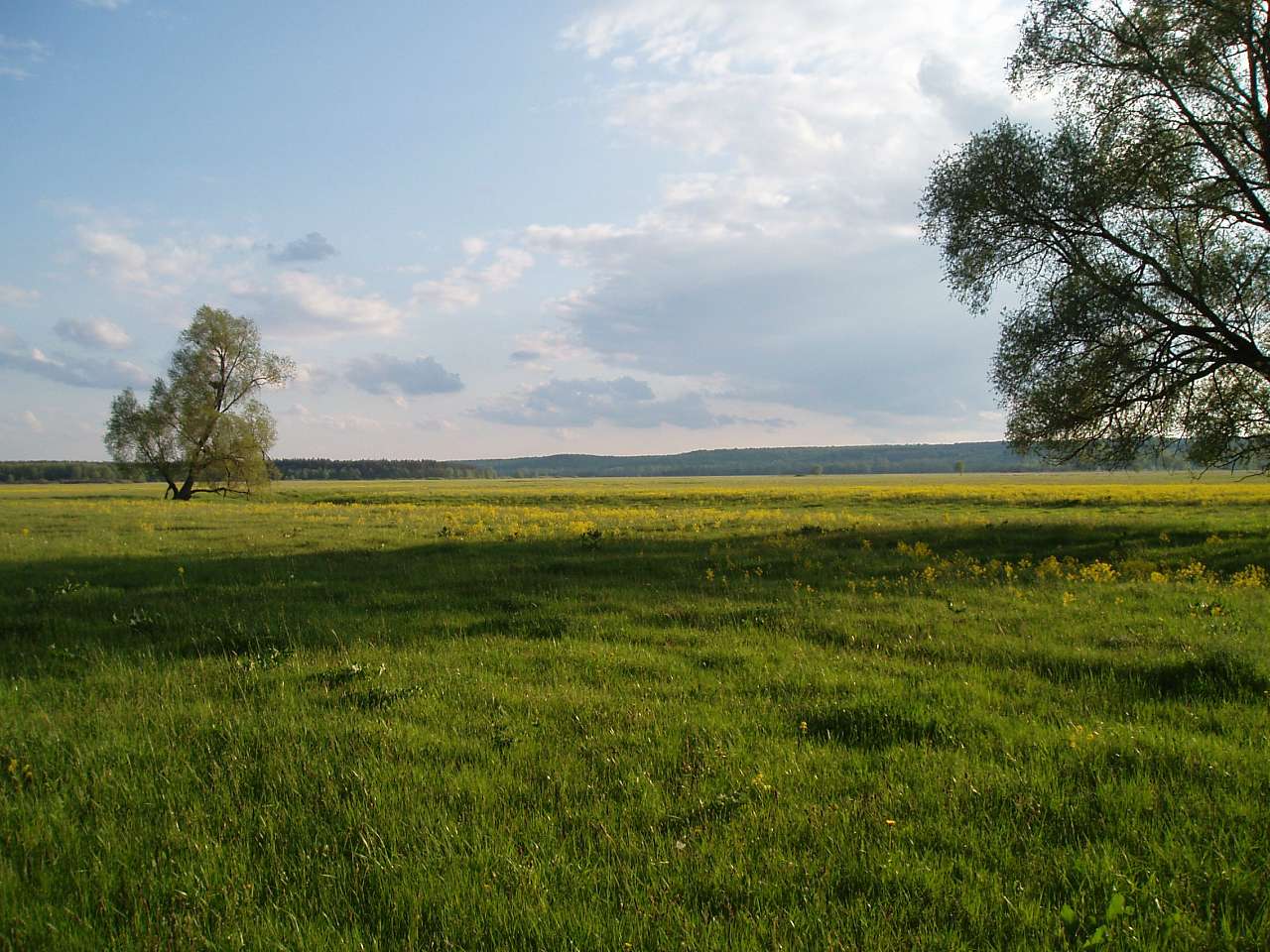 природа села сари - Сары