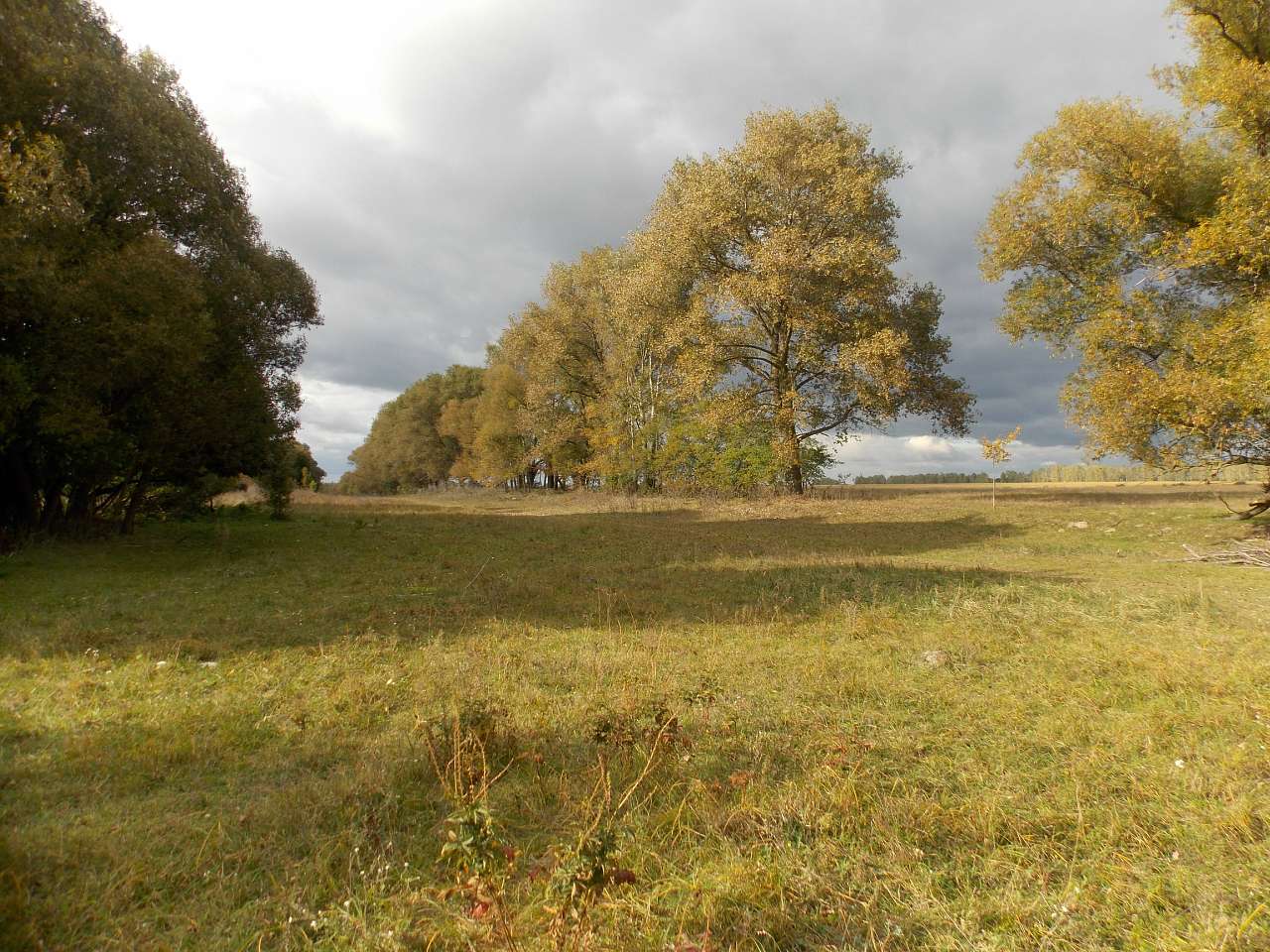 Осінь 2016 - Khotivlya