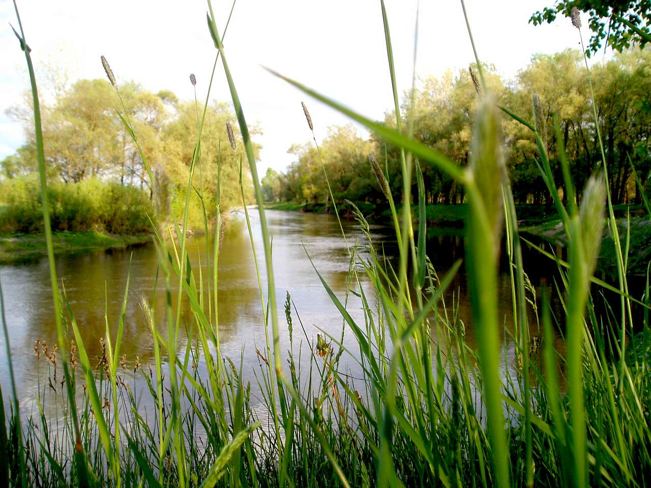 природа села сари - Сари