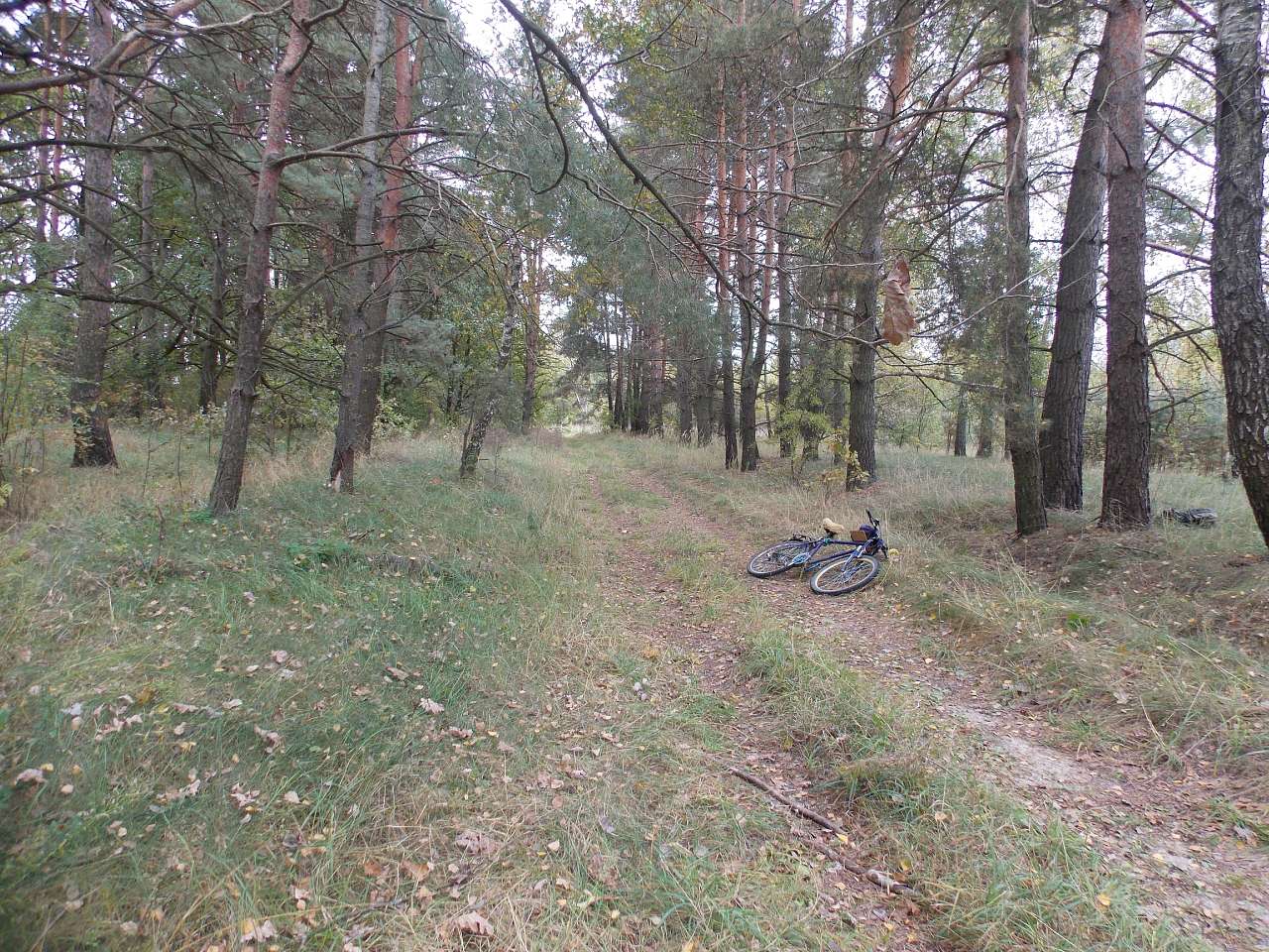 Осінь 2016 - Хотівля