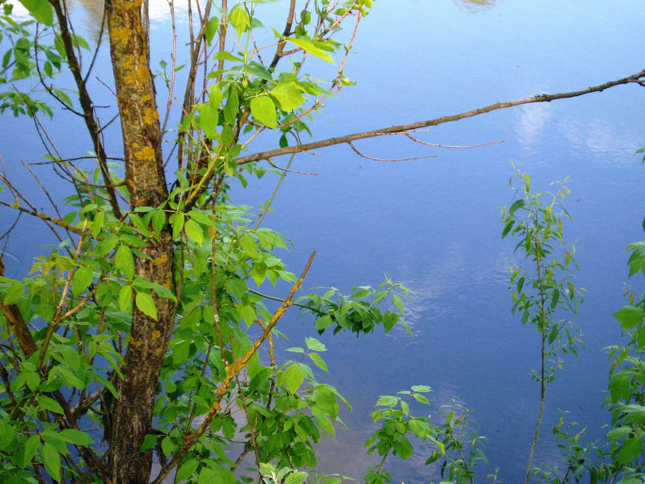 природа села сари - Сары