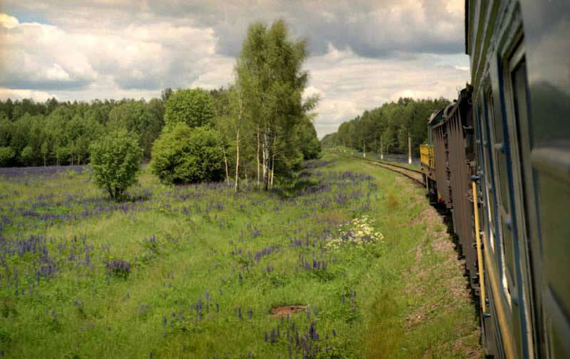 Печенюги з panoramio.com - Печенюги