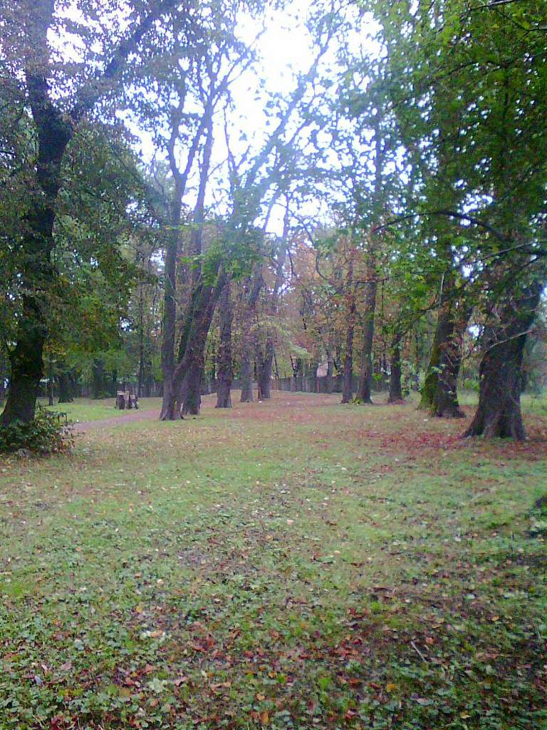 парки - Стрый