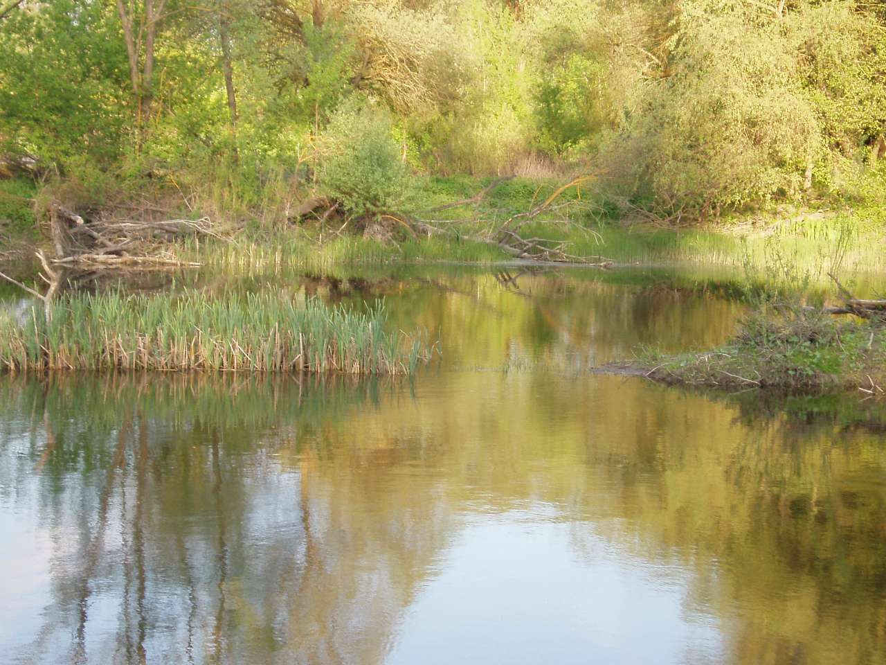 природа села сари - Сары