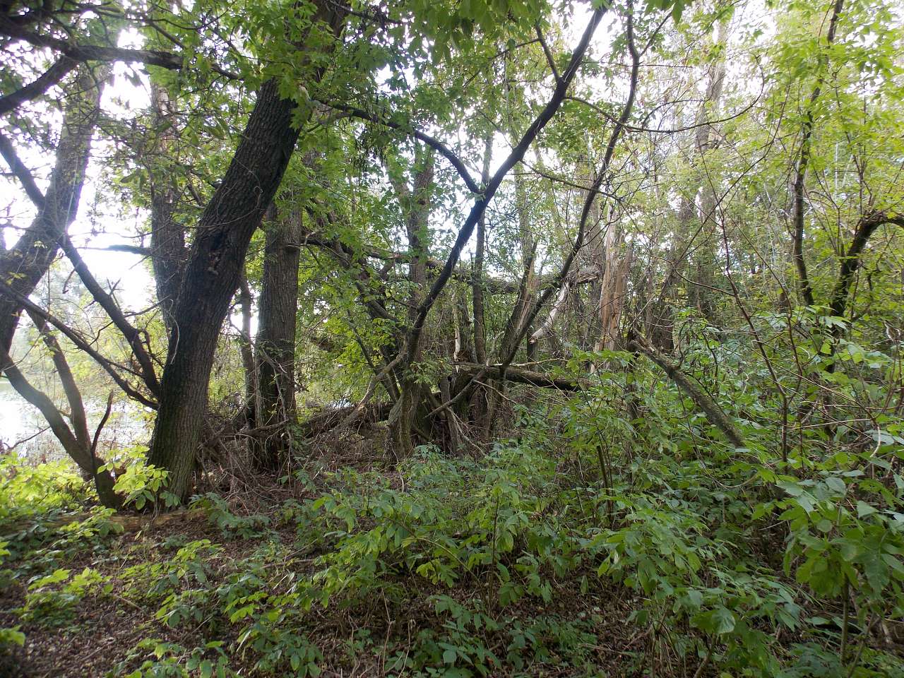 Осінь 2016 - Хотівля