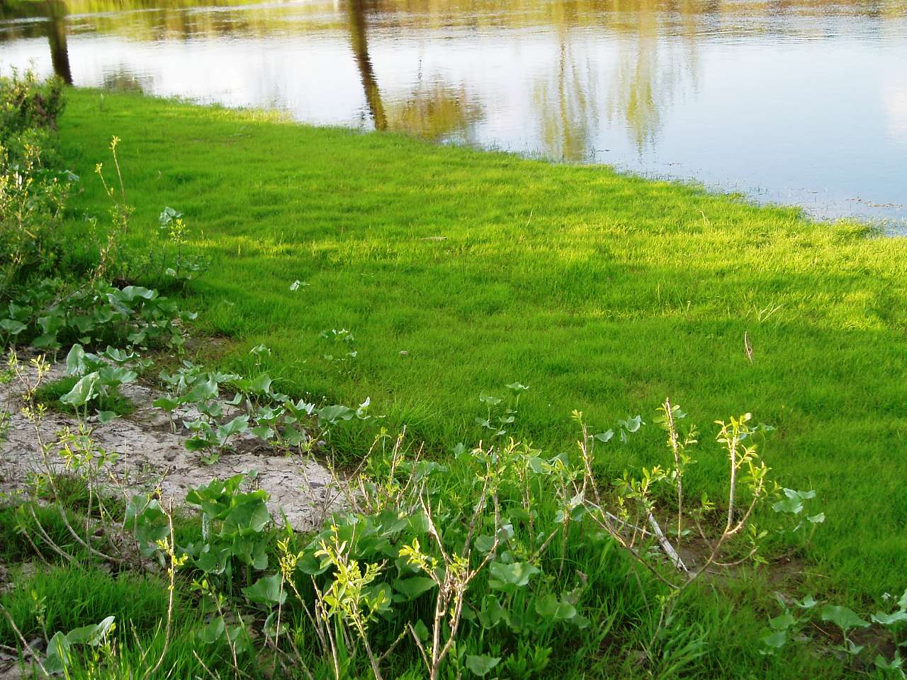 природа села сари - Сари