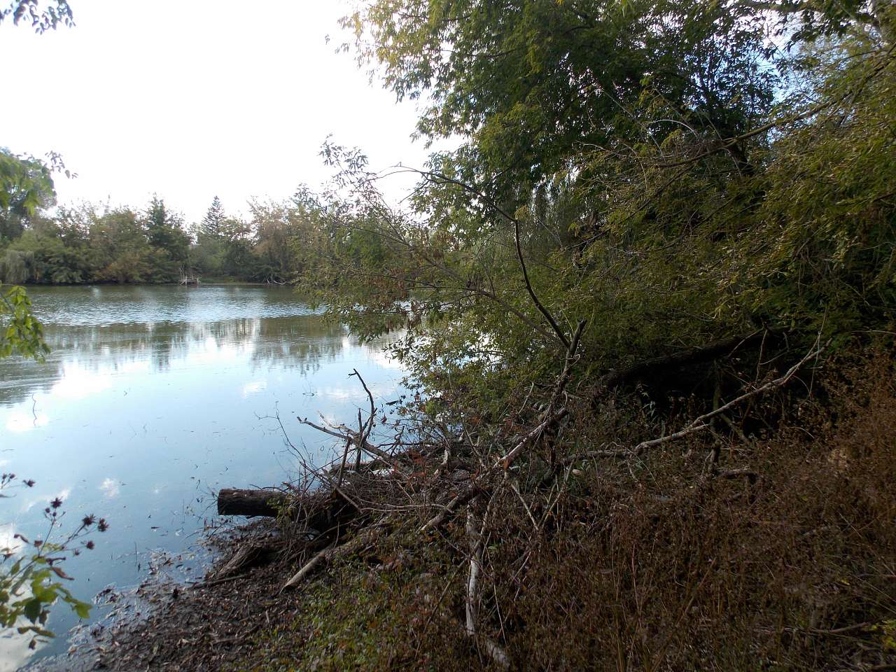 Осінь 2016 - Хотівля