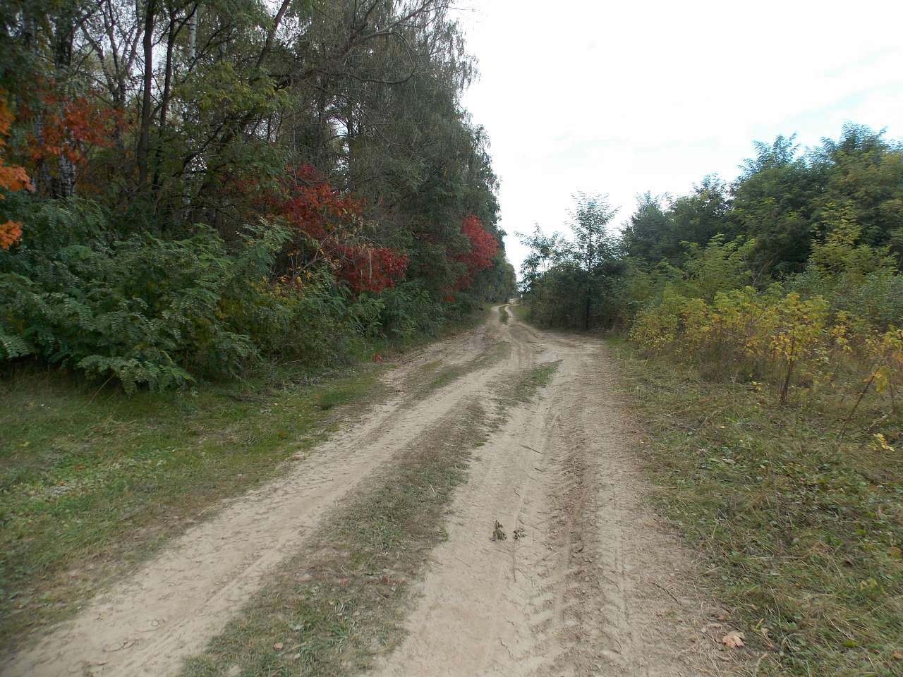 Осінь 2016 - Хотівля