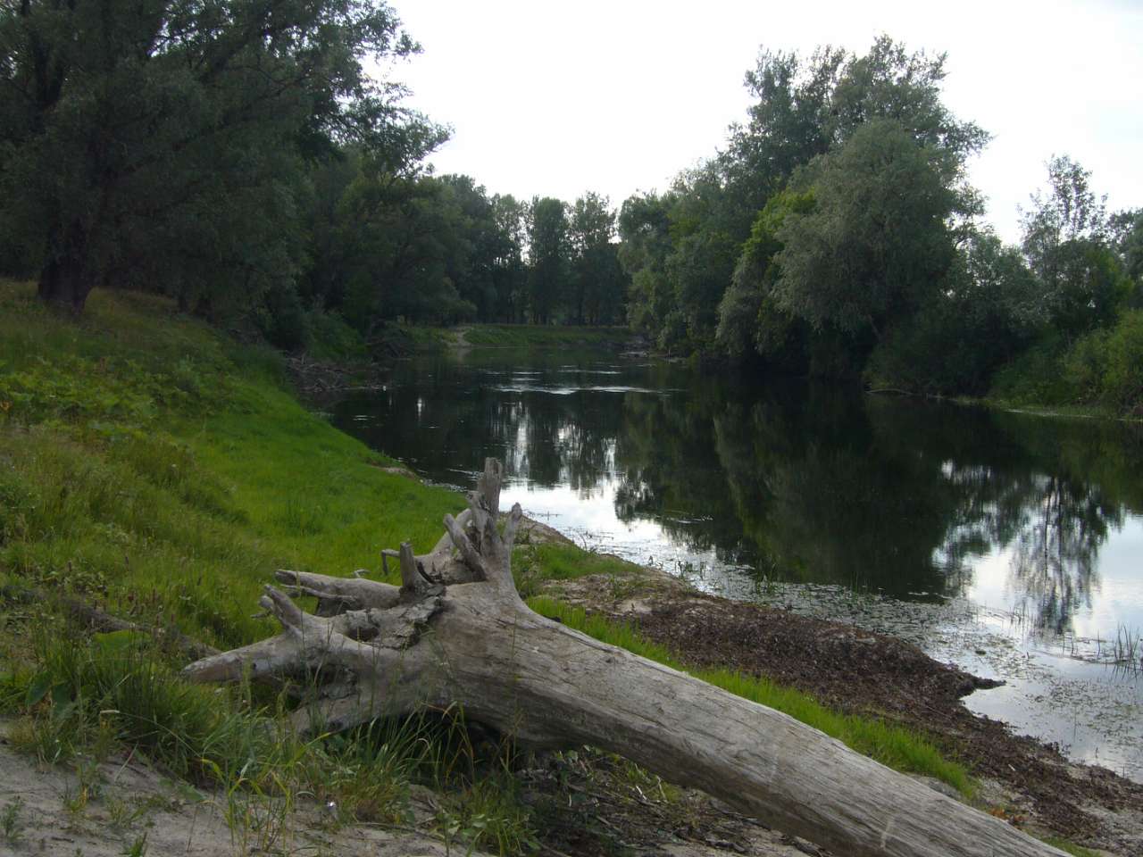 природа села сари - Сари