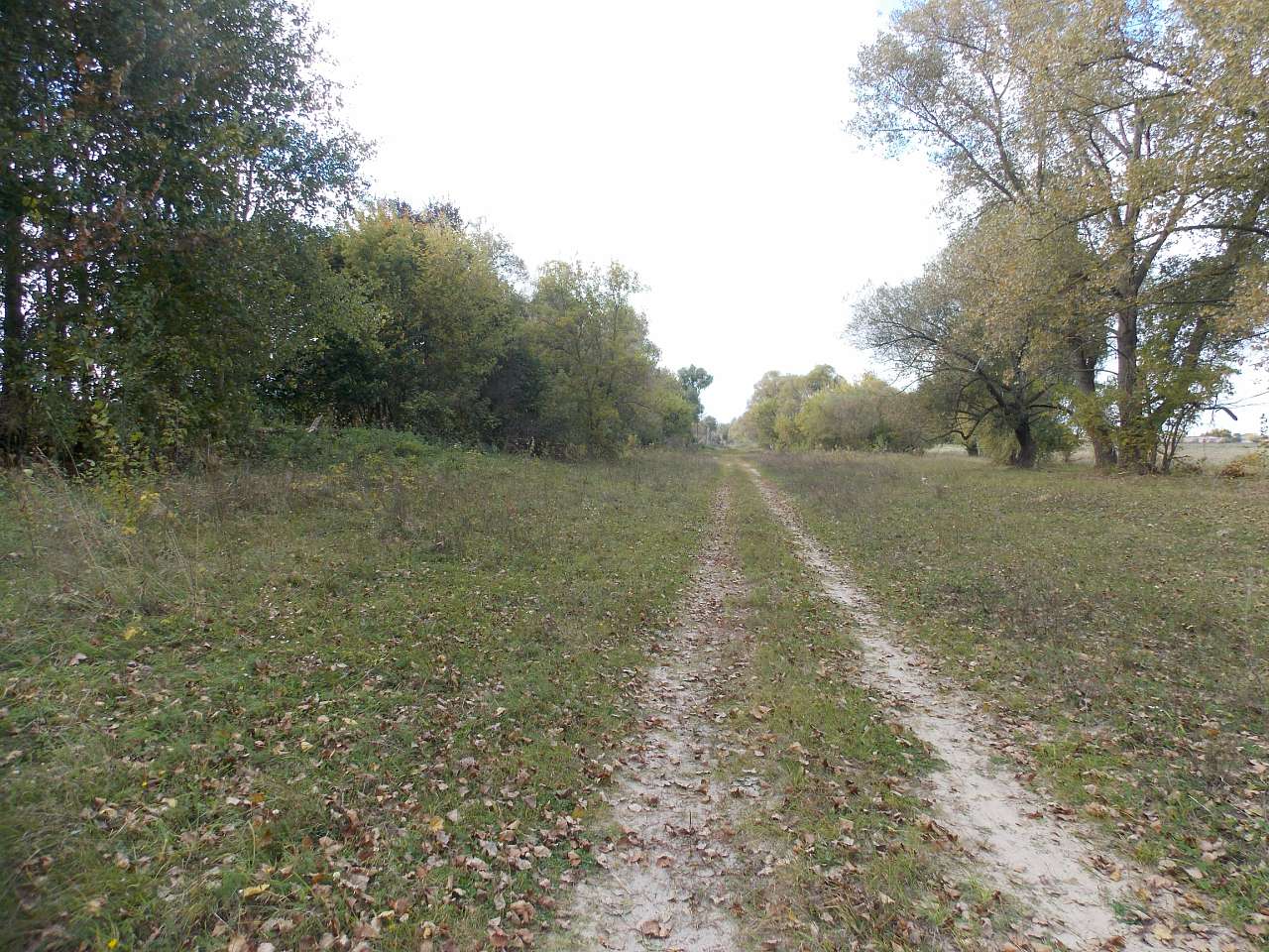 Осінь 2016 - Хотівля